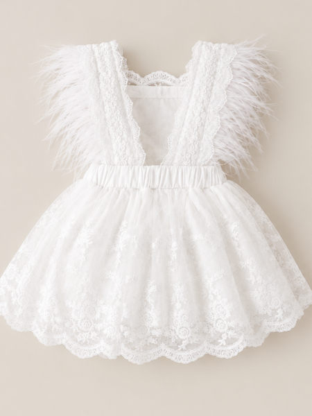 Feather & Lace Dress