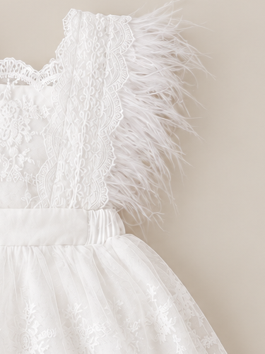 Feather & Lace Dress