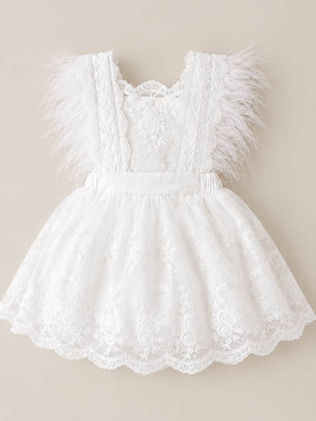 Feather & Lace Dress